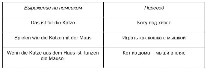 Как позвать кота на немецком 2