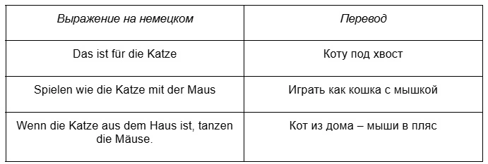 Как позвать кота на немецком 2